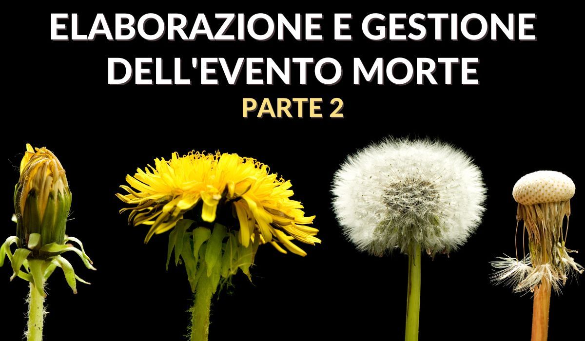 Elaborazione e gestione dell'evento morte (parte 1)
